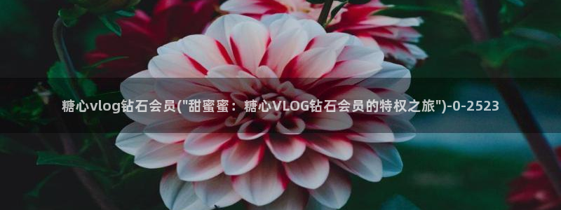 糖心vlgc
