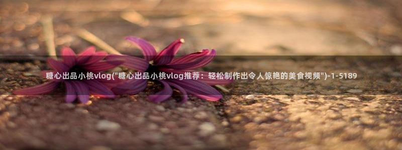 糖心成年版糖心vlog