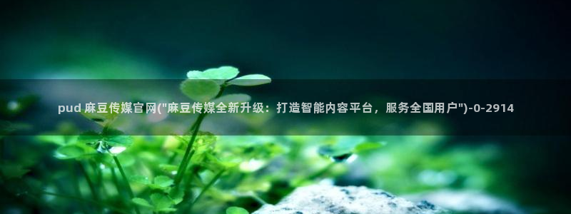 麻豆 入口合集：pud 麻豆传媒官网(\