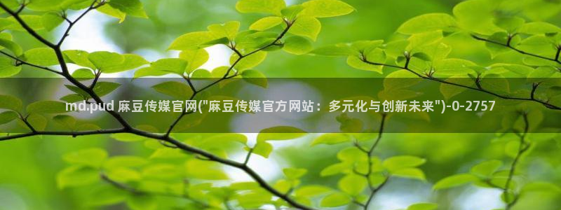 麻豆视频 推荐更新：md.pud 麻豆传媒官网(\