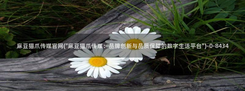 麻豆视频 站完整版：麻豆猫爪传媒官网(\