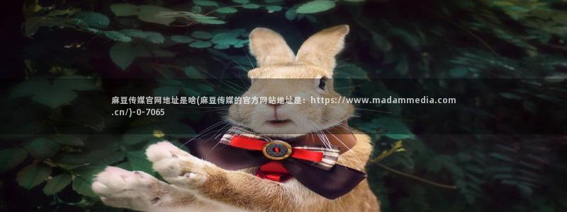 麻豆视频 官方入口：麻豆传媒官网地址是啥(麻豆传媒的