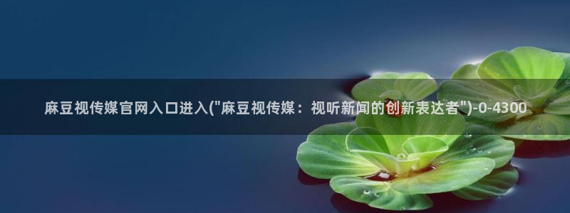 麻豆 最新入口：麻豆视传媒官网入口进入(\
