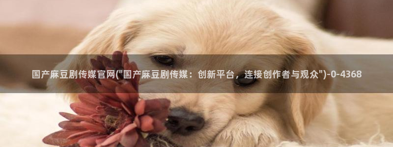 麻豆视频入口导航：国产麻豆剧传媒官网(\
