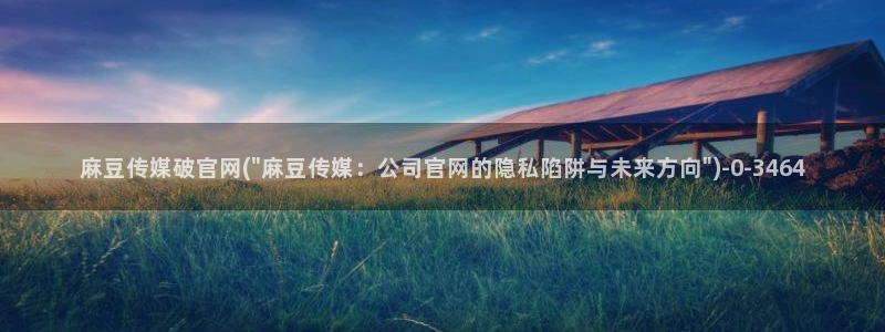 麻豆视频 官方专区：麻豆传媒破官网(\