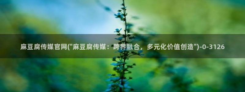 麻豆官方整理：麻豆腐传媒官网(\