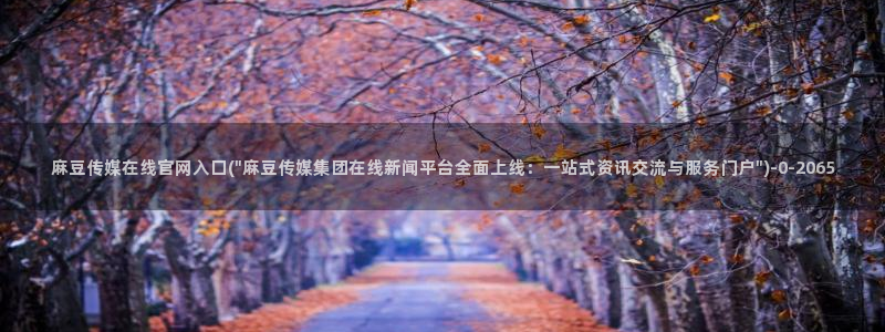 麻豆视频 图集资源：麻豆传媒在线官网入口(\
