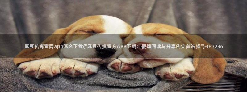 麻豆视频内容推荐：麻豆传媒官网app怎么下载(\