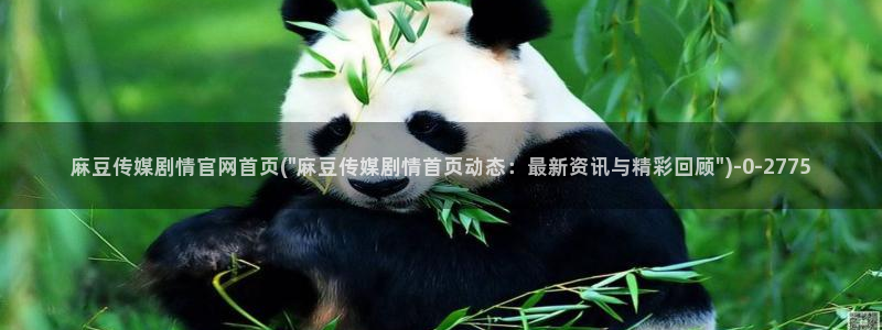 麻豆视频 精选合集：麻豆传媒剧情官网首页(\