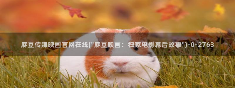 麻豆 资源资源：麻豆传媒映画官网在线(\