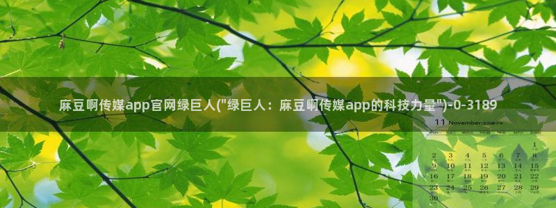 麻豆 最新合集：麻豆啊传媒app官网绿巨人(\