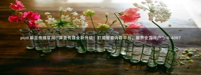 麻豆视频入口入口：pud 麻豆传媒官网(\