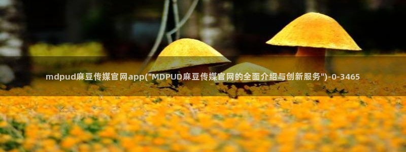 麻豆视频更新下载：mdpud麻豆传媒官网app(\