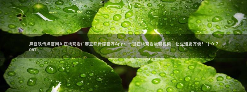 麻豆资源推荐：麻豆映传媒官网A 在线观看(\