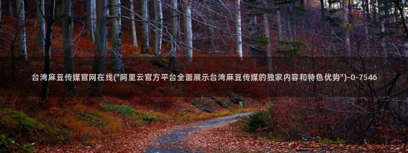 麻豆 视频：台湾麻豆传媒官网在线(\