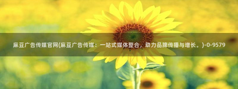 麻豆视频 最新页面：麻豆广告传媒官网(麻豆广告传
