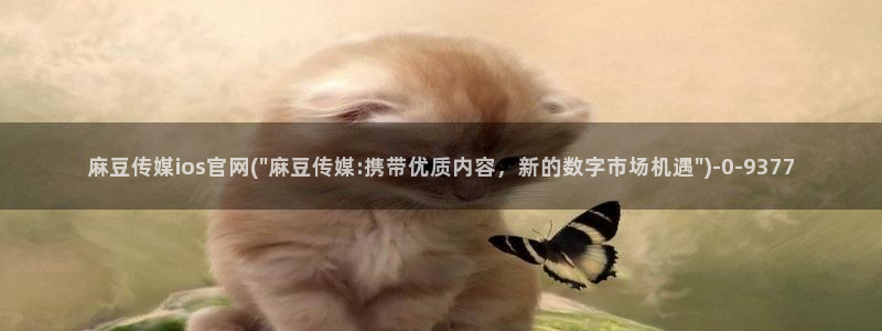 麻豆视频 下载入口：麻豆传媒ios官网(\