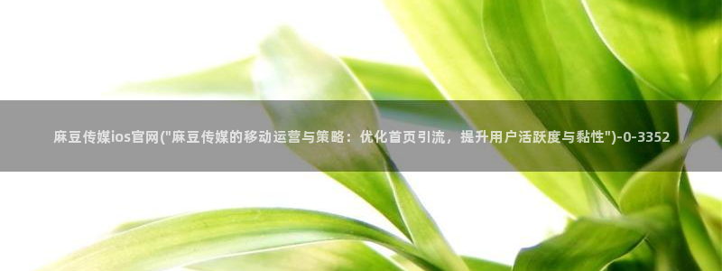 麻豆入口完整版