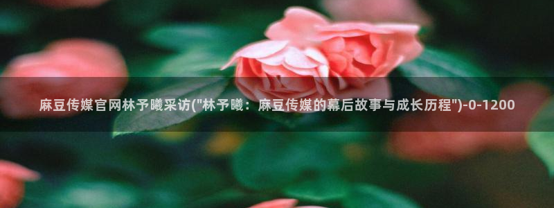 麻豆视频资源整理：麻豆传媒官网林予曦采访(\