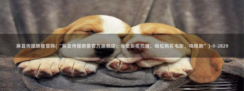 麻豆视频更新专区