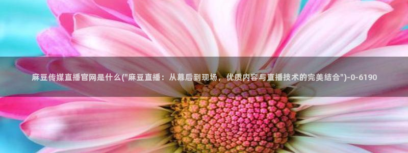 麻豆视频 视频：麻豆传媒直播官网是什么(\