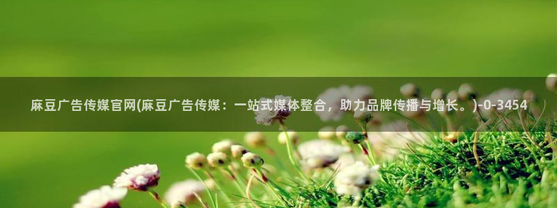 麻豆视频更新高清：麻豆广告传媒官网(麻豆广告传媒